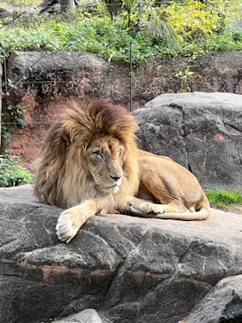 天王寺動物園に投稿された画像（2022/12/3）