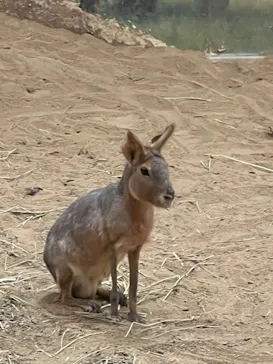 天王寺動物園に投稿された画像（2022/12/3）