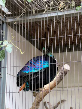 天王寺動物園に投稿された画像（2022/12/3）