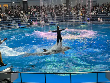 マクセル アクアパーク品川に投稿された画像（2022/12/3）