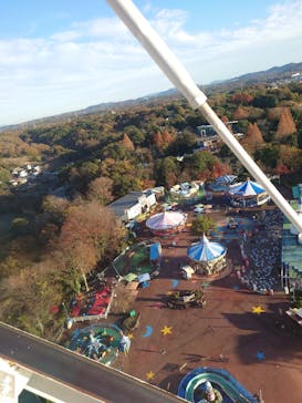 日本モンキーパークに投稿された画像（2022/12/3）