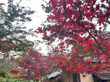 三溪園に投稿された画像（2022/12/3）