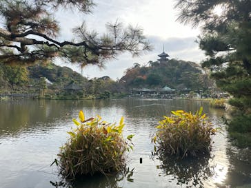 三溪園に投稿された画像（2022/12/3）