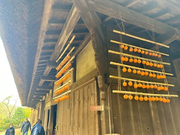 三溪園に投稿された画像（2022/12/3）