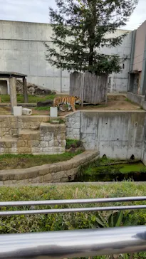 天王寺動物園に投稿された画像（2022/12/3）