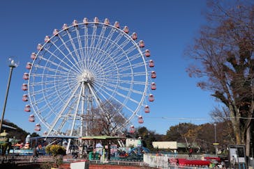 日本モンキーパークに投稿された画像（2022/12/3）