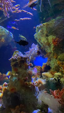 サンシャイン水族館に投稿された画像（2022/12/3）