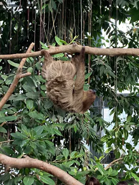 神戸どうぶつ王国に投稿された画像（2022/12/3）