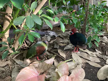 神戸どうぶつ王国に投稿された画像（2022/12/3）