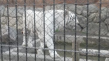 東武動物公園に投稿された画像（2022/12/3）