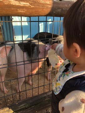 しろとり動物園に投稿された画像（2022/12/3）