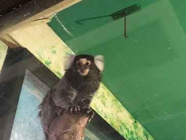 伊豆シャボテン動物公園に投稿された画像（2022/12/3）