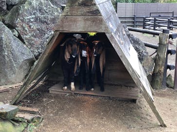 伊豆シャボテン動物公園に投稿された画像（2022/12/3）