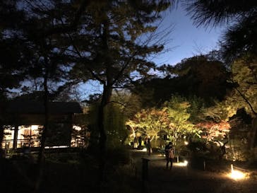 三溪園に投稿された画像（2022/12/3）