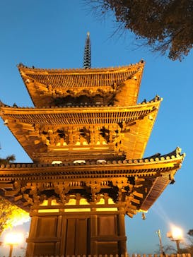 三溪園に投稿された画像（2022/12/3）