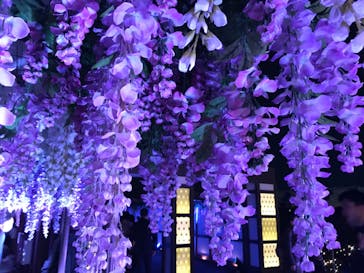 東京メガイルミに投稿された画像（2022/12/3）