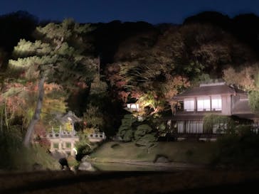 三溪園に投稿された画像（2022/12/3）