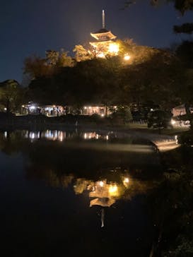 三溪園に投稿された画像（2022/12/3）
