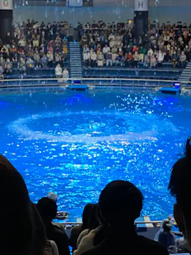 マクセル アクアパーク品川に投稿された画像（2022/12/3）