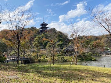 三溪園に投稿された画像（2022/12/3）
