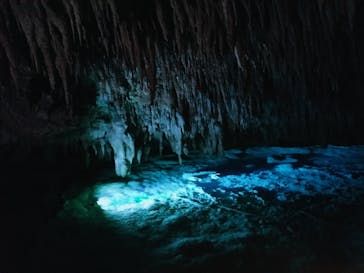 おきなわワールドに投稿された画像（2022/12/3）