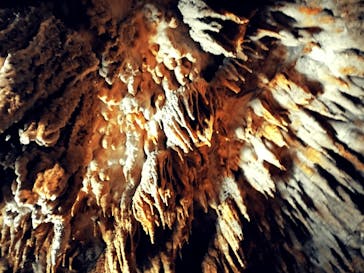 おきなわワールドに投稿された画像（2022/12/3）