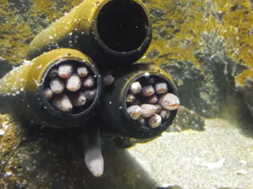 仙台うみの杜水族館に投稿された画像（2022/12/3）