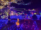 伊豆ぐらんぱる公園に投稿された画像（2022/12/3）