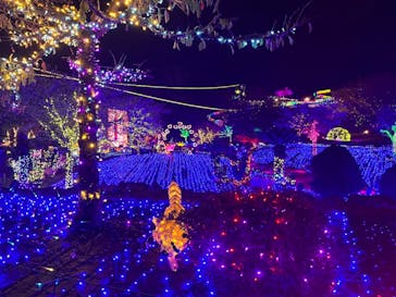 伊豆ぐらんぱる公園に投稿された画像（2022/12/3）