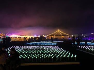 東京メガイルミに投稿された画像（2022/12/3）