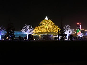 東京メガイルミに投稿された画像（2022/12/3）