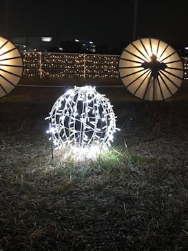 東京メガイルミに投稿された画像（2022/12/3）