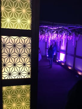 東京メガイルミに投稿された画像（2022/12/3）