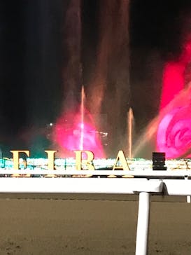 東京メガイルミに投稿された画像（2022/12/3）