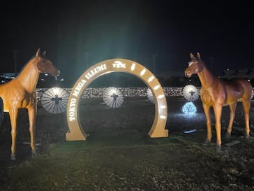 東京メガイルミに投稿された画像（2022/12/3）