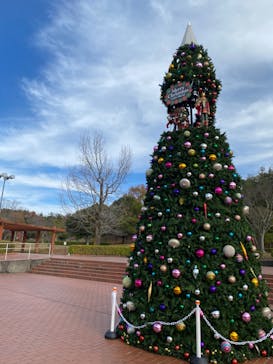 野外民族博物館 リトルワールドに投稿された画像（2022/12/3）