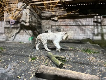 東武動物公園に投稿された画像（2022/12/3）