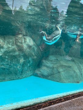 東武動物公園に投稿された画像（2022/12/3）