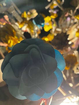 NAKED FLOWERS 2022 秋 世界遺産・二条城に投稿された画像（2022/12/3）