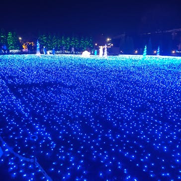 東武動物公園に投稿された画像（2022/12/3）