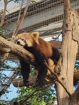 神戸どうぶつ王国に投稿された画像（2022/12/3）