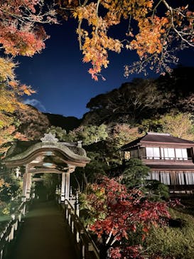 三溪園に投稿された画像（2022/12/3）