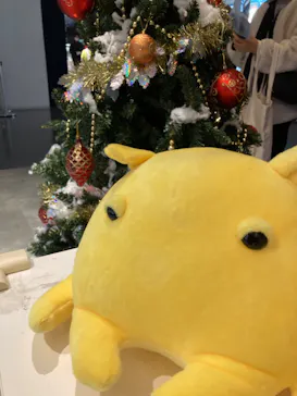 マクセル アクアパーク品川に投稿された画像（2022/12/3）
