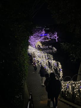 江の島シーキャンドルに投稿された画像（2022/12/3）