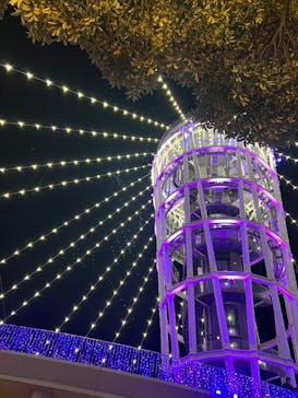 江の島シーキャンドルに投稿された画像（2022/12/3）