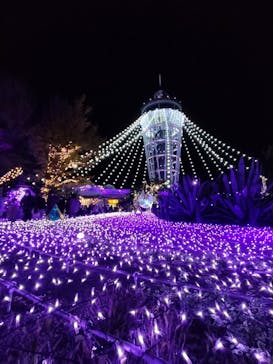 江の島シーキャンドルに投稿された画像（2022/12/3）