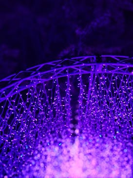 江の島シーキャンドルに投稿された画像（2022/12/3）