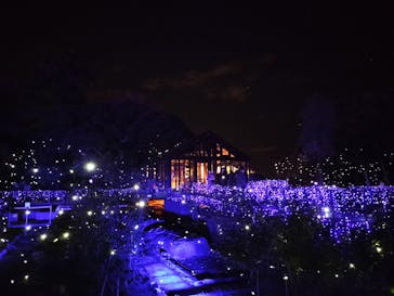 江の島シーキャンドルに投稿された画像（2022/12/3）