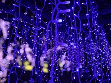 江の島シーキャンドルに投稿された画像（2022/12/3）