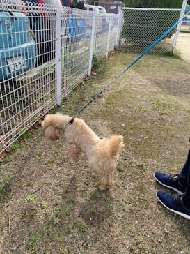 IPCわんわん動物園に投稿された画像（2022/12/3）